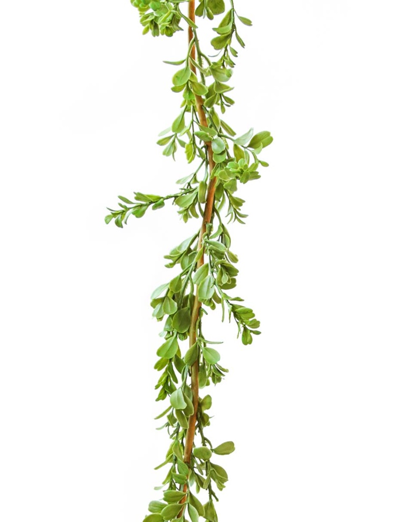 GARLAND FAKE BOXWOOD