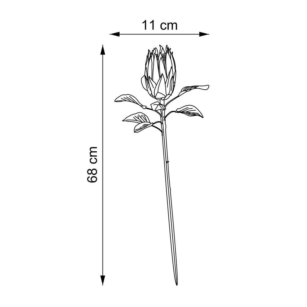 Protea Rosa 68 Cms