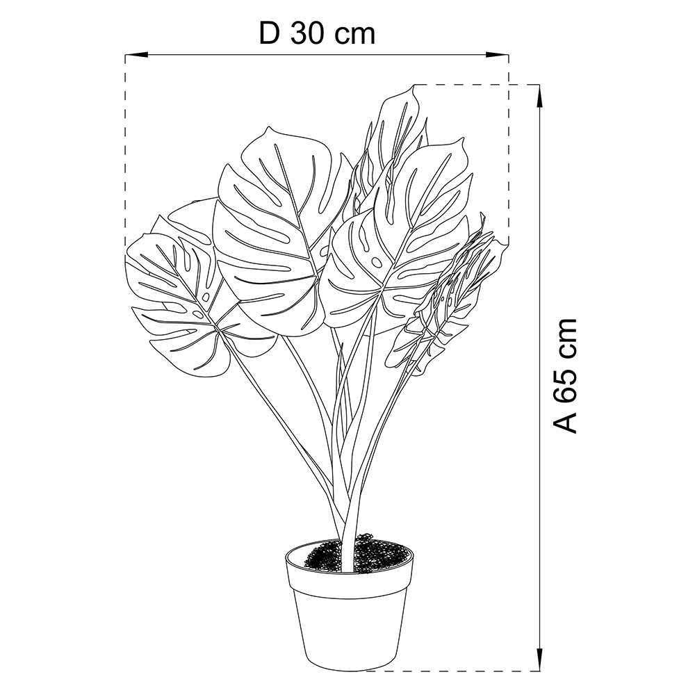 Maceta Monstera