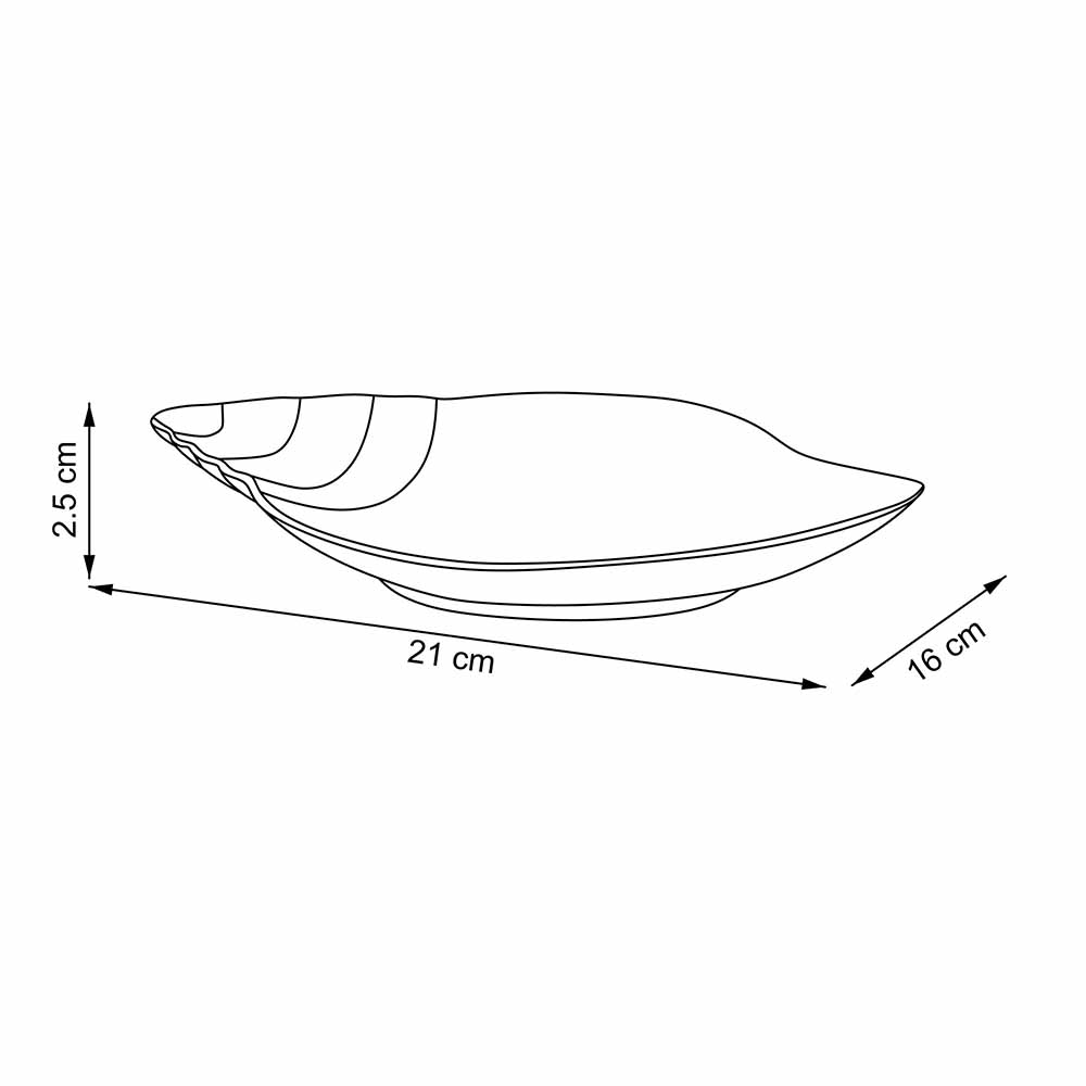 Plato Caracol - 21 cm