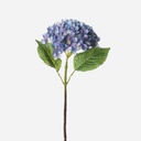 Hydrangea Azul 63 Cms