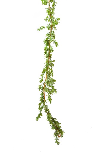 [129833] GARLAND FAKE BOXWOOD